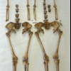 Post-medieval twins